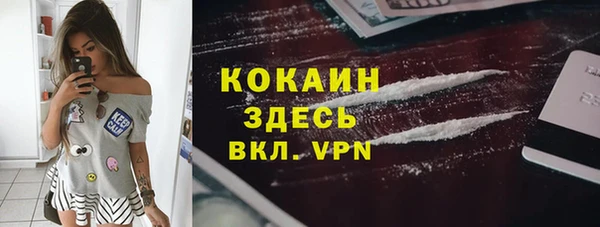 гидропоника Няндома
