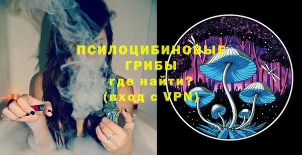 гидропоника Няндома