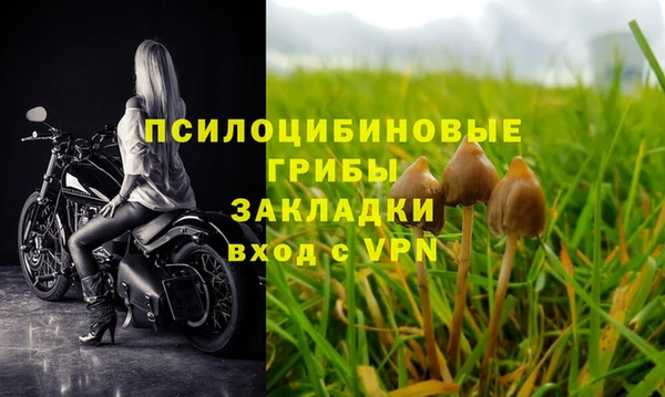 гидропоника Няндома
