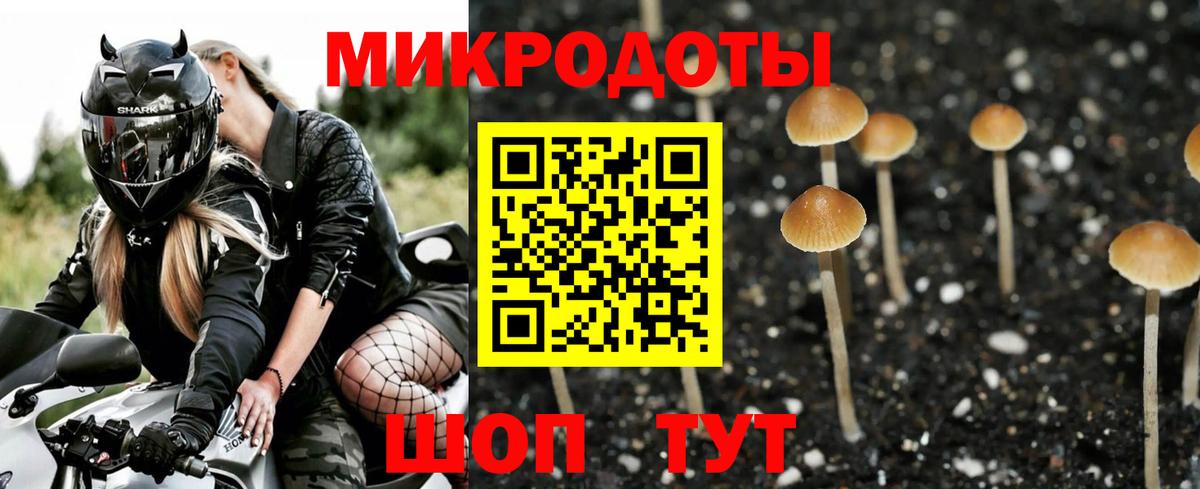 Якутск  Галлюциногенные грибы ЛСД  Вход с VPN  Галлюциногенные грибы Magic Shrooms 